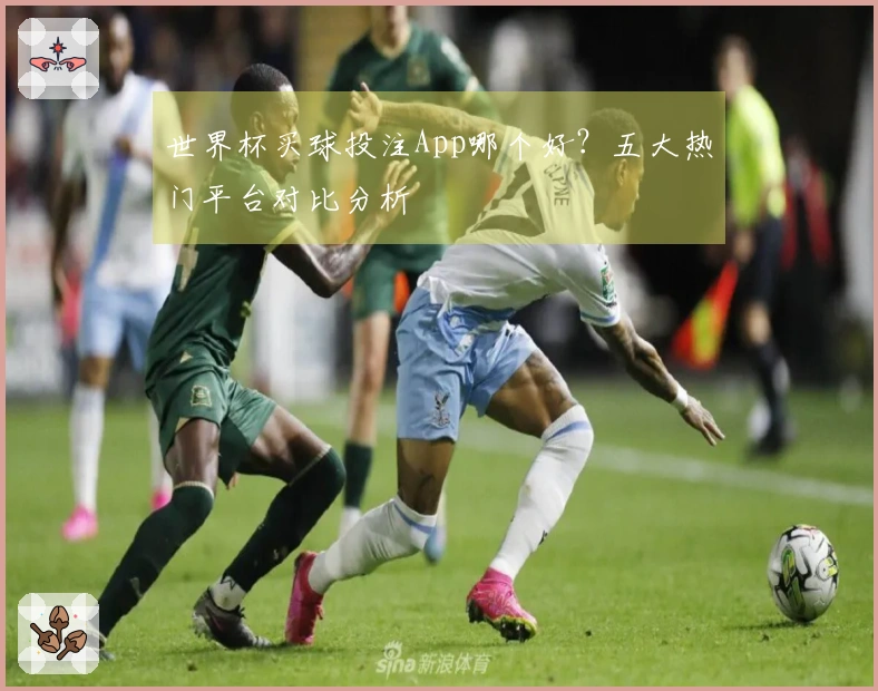 世界杯买球投注App哪个好？五大热门平台对比分析