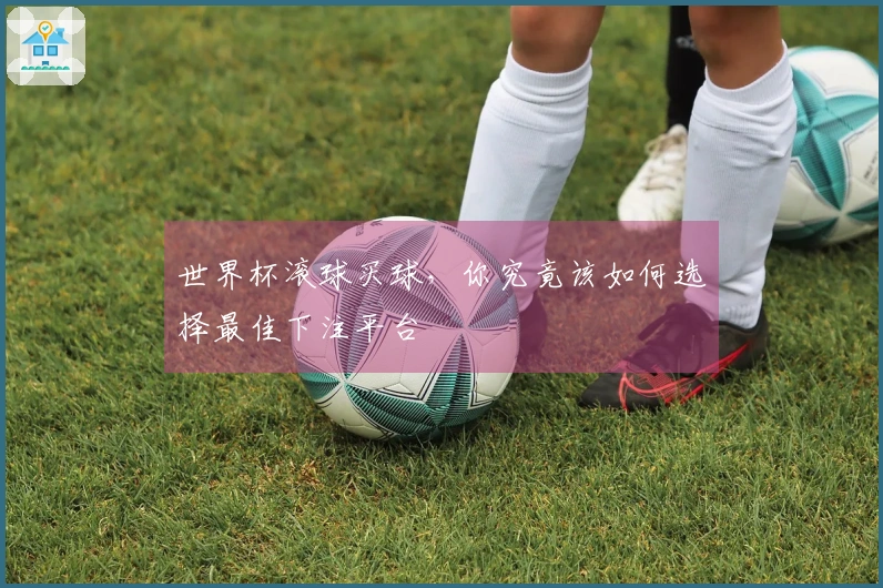 世界杯滚球买球，你究竟该如何选择最佳下注平台