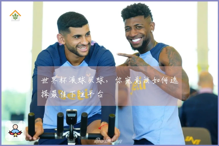 世界杯滚球买球，你究竟该如何选择最佳下注平台