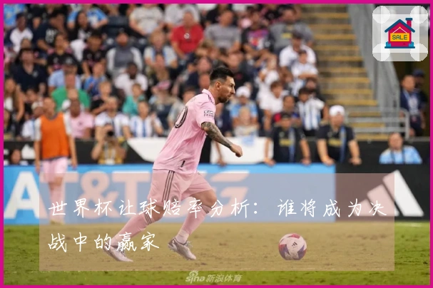 世界杯让球赔率分析：谁将成为决战中的赢家